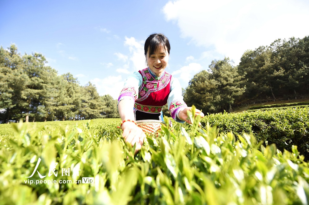 ???: ?????? ???? ??? ????? ?? ?????? ?????