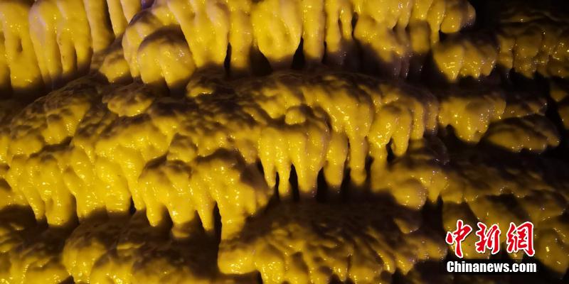 ??????: ???? ????? ???? ????? ?????? ????? ?????? ?? ????