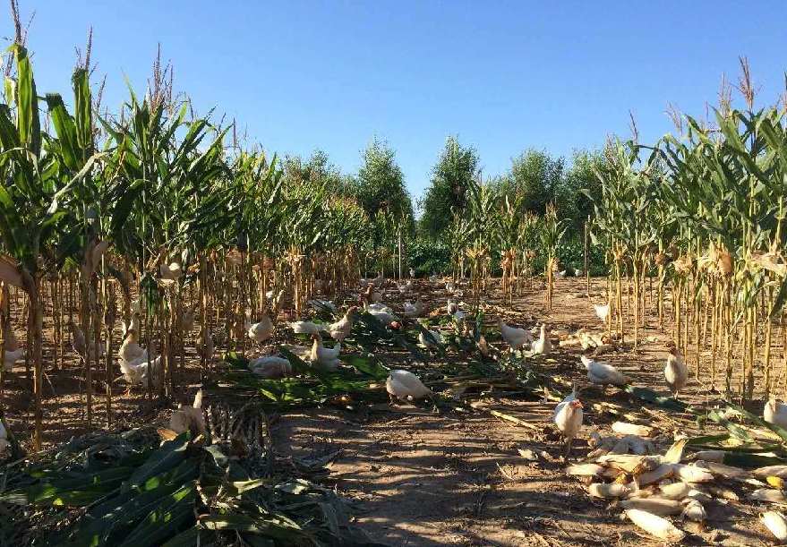 ??? ???? ???? ?? ???? ????