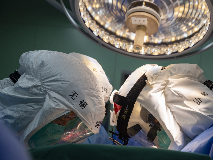 ???? ???? ??????-19 ?????? ??? ????? ????? ???????