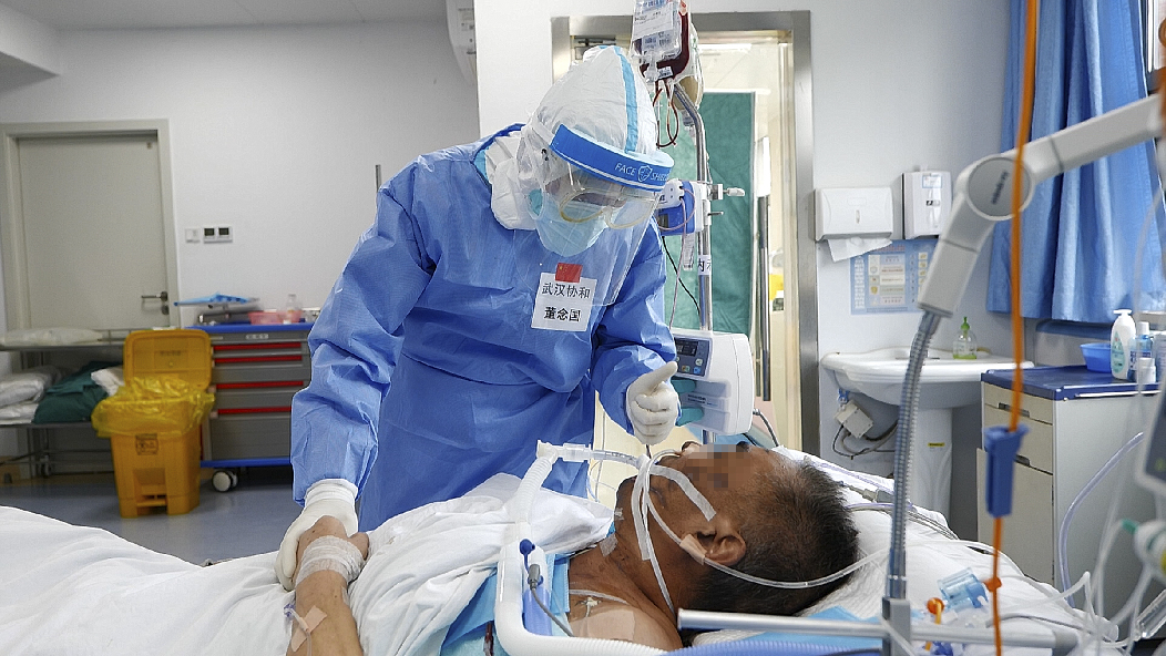 ???? ???? ??????-19 ?????? ??? ????? ????? ???????