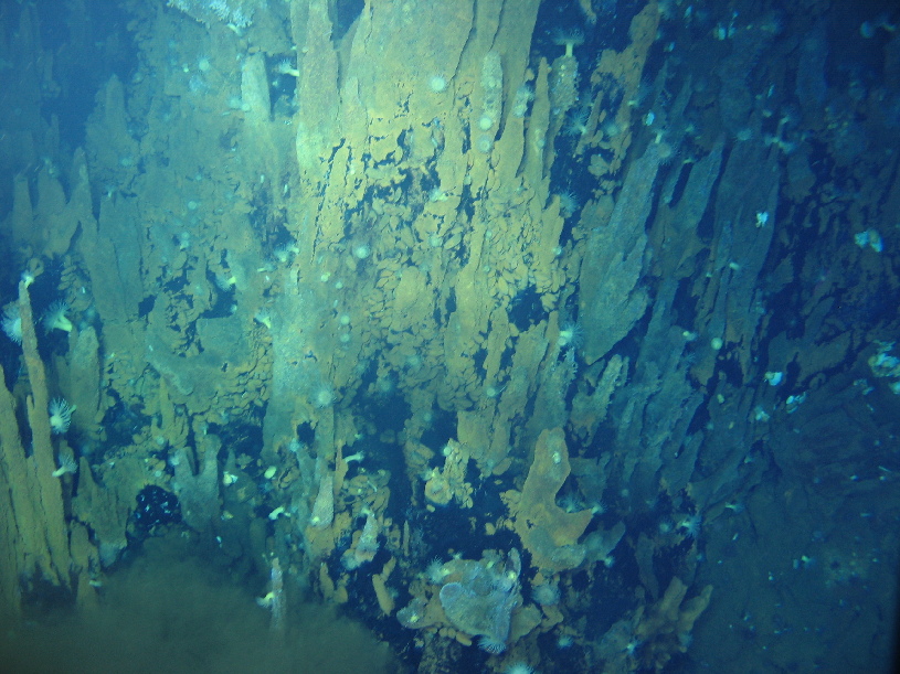 ???? ???... ????? ?????? ??????? ???? ????? ??????? ??? ?????? ?? ???????