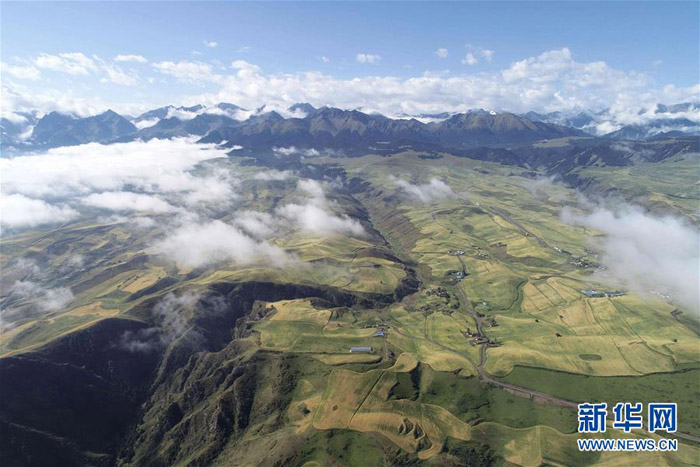 ????? ?????? ?????? ????? ??????? ????? 