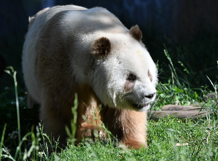 ???? ?????? ????? ??????? ?????? ??? ????????