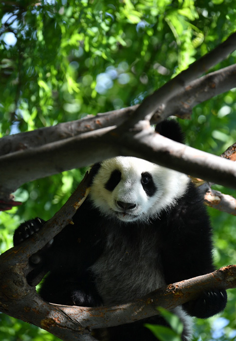 ???? ?????? ????? ??????? ?????? ??? ????????