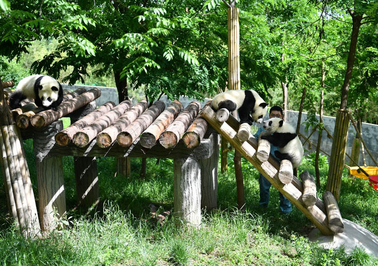 ???? ?????? ????? ??????? ?????? ??? ????????