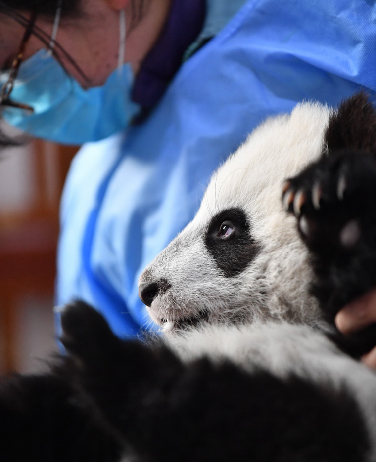 ???? ?????? ????? ??????? ?????? ??? ????????