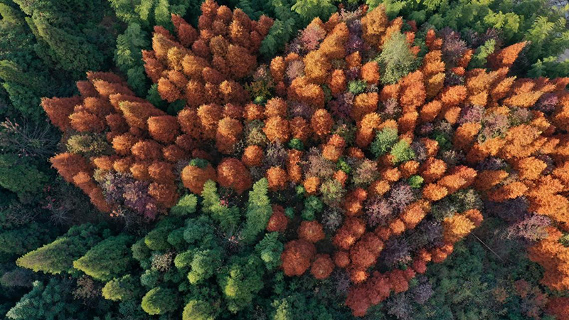 ???? ?? 20 ??? ???? ????? ????????? ?? ??????? ??????? ?? ?????