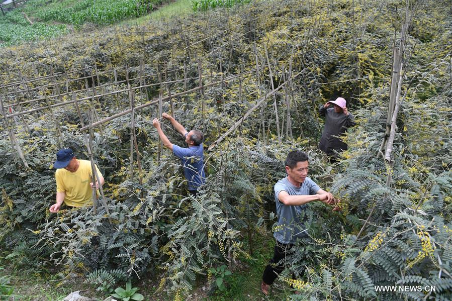 ????? ???????? ??????? ????????? ????? ??? ??? ??????