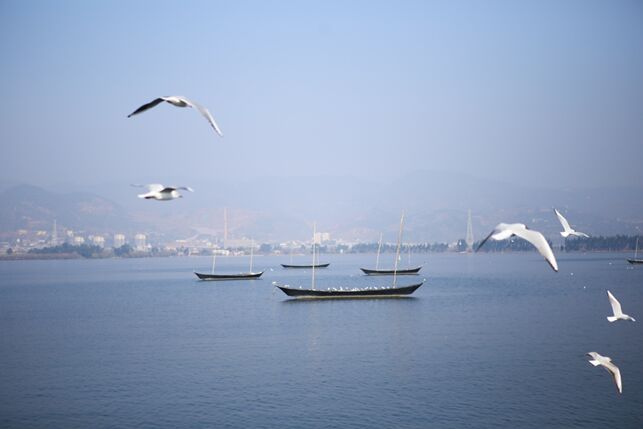 ?????: ???? ?????? ???????? ??? ????? ??????? .... ???? ????? ?????? ?????? ???????????