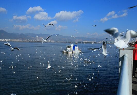 ?????: ???? ?????? ???????? ??? ????? ??????? .... ???? ????? ?????? ?????? ???????????