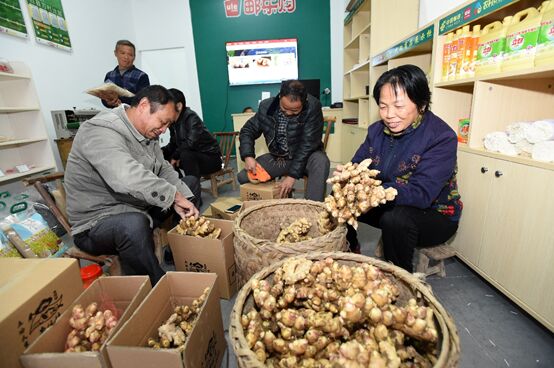 ?????: ????? ?????? ??????? ???? ??????? ??????? ??? ???????? ?? ??????? ???????????