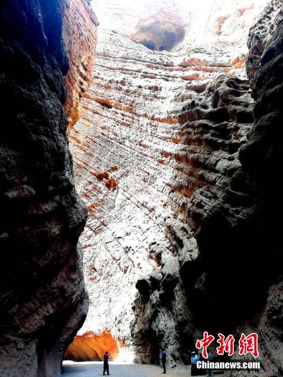 ????? ?????? ?? ??????? ????????? .. ???? ?????? ??? ???? ????