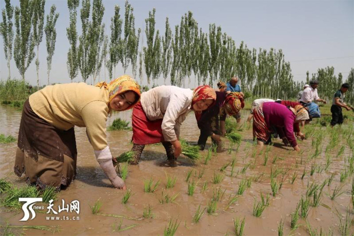 ?????? ???????????? ????? ????????? ??? ?????? ?? ????? 