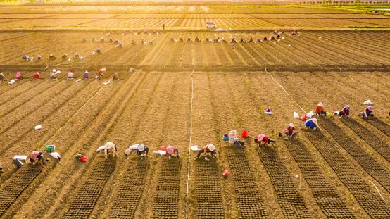 ?????: ??? ????? ?????? ?????? ????? ?? ???? ?????