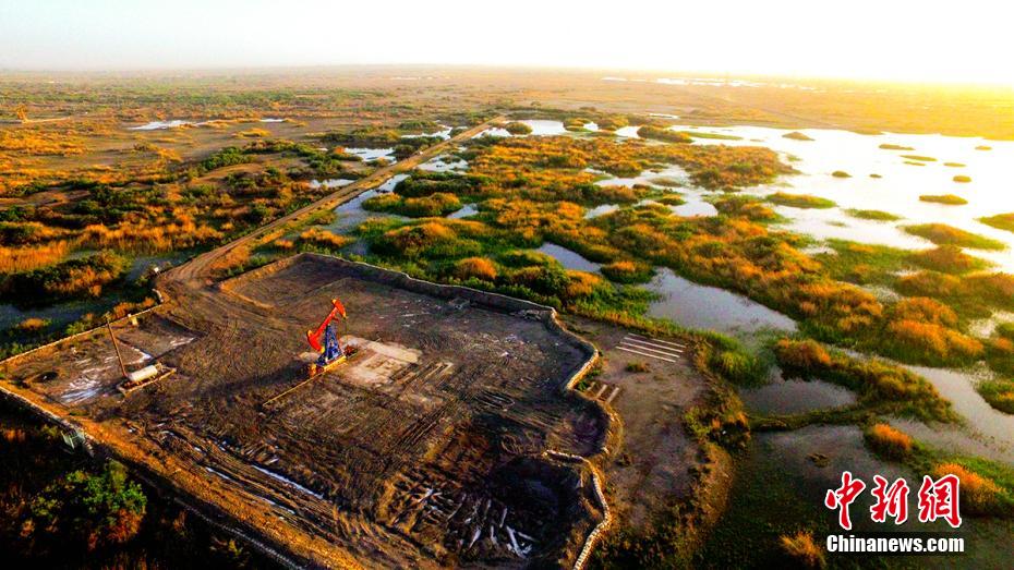 ????????: ????? ??? ????? ??????? ?? ????? ??? ?????