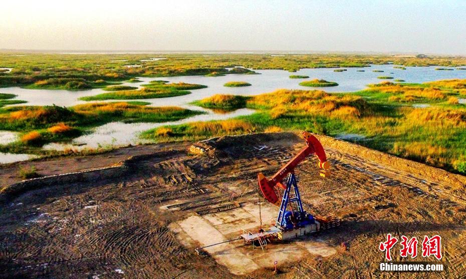 ????????: ????? ??? ????? ??????? ?? ????? ??? ?????