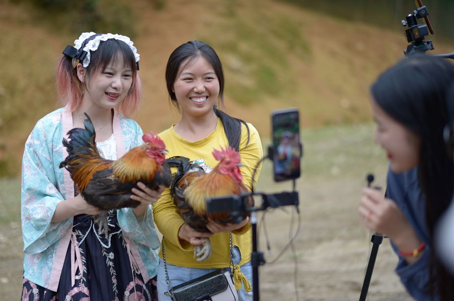 ???? ?????? ????? ???? ?????? ?????? ??????