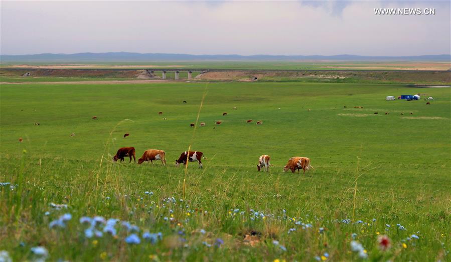 ?????? ???????? ?????? ???????? ?? ????? ??????? ???????? ????? ????? ???? ???? ?????