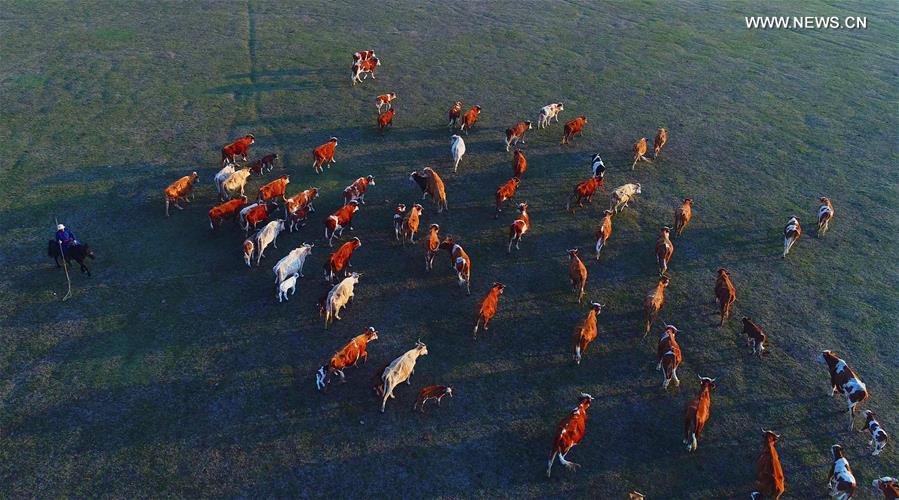 ?????? ???????? ?????? ???????? ?? ????? ??????? ???????? ????? ????? ???? ???? ?????