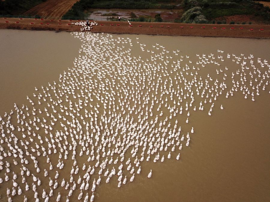 ????? ????? ???? ???? ?? ??????? ?? ??? ????? ?? ???? ????? ?????