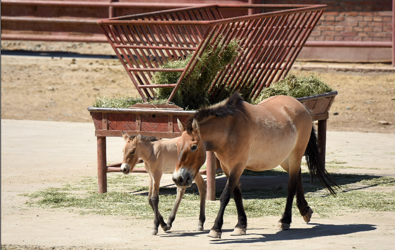 ????? 18 ???? ????? ?? ????? ?????????? ??????? ????????? ?? ???? ???? ?????