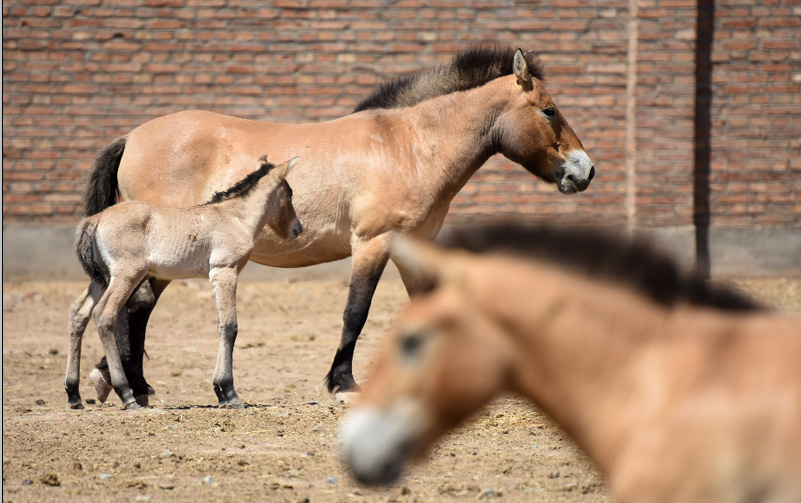 ????? 18 ???? ????? ?? ????? ?????????? ??????? ????????? ?? ???? ???? ?????