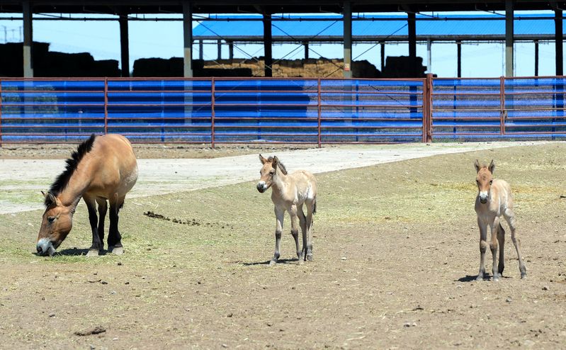 ????? 18 ???? ????? ?? ????? ?????????? ??????? ????????? ?? ???? ???? ?????