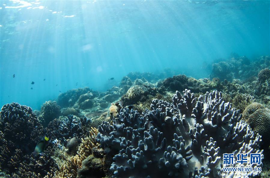 ????? ???? ??? ????? ????? ????????