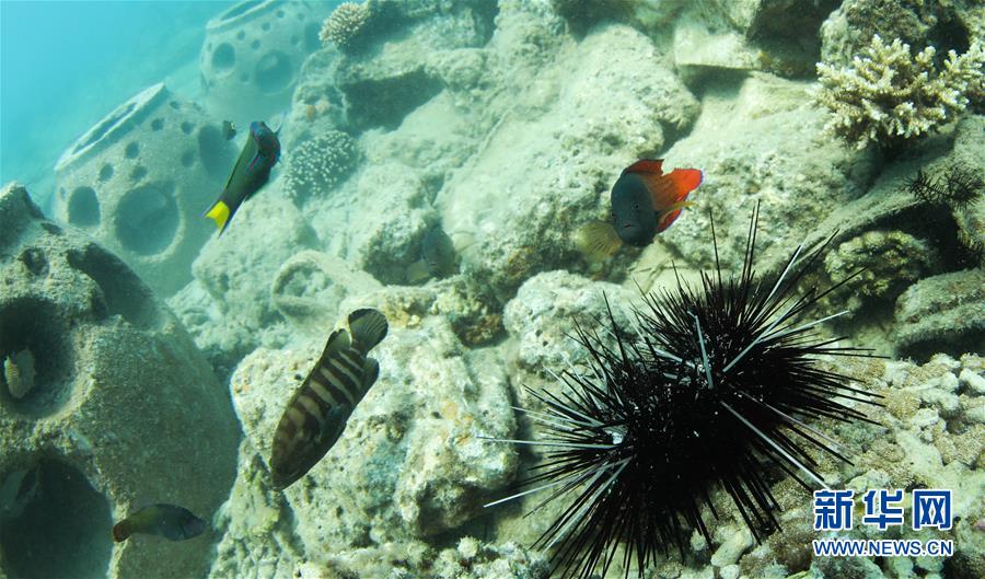 ????? ???? ??? ????? ????? ????????