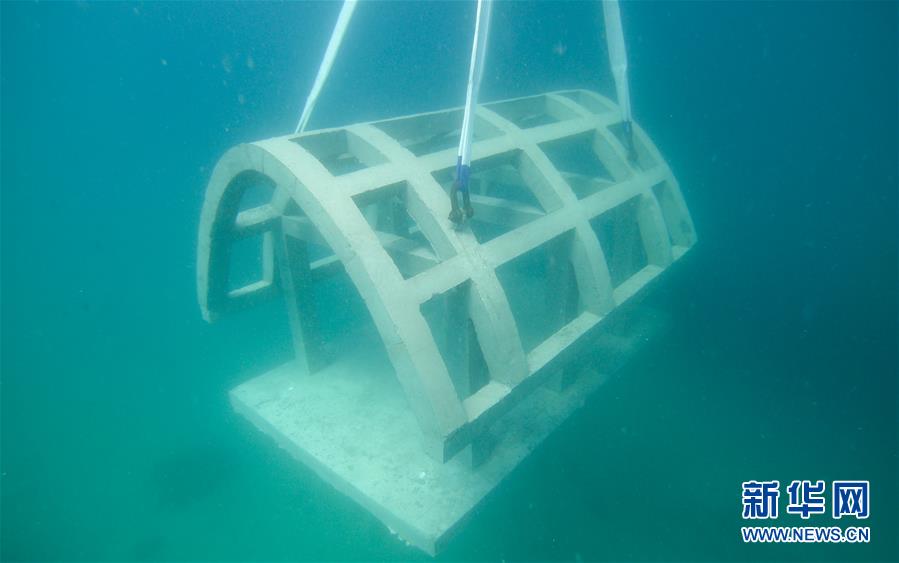 ????? ???? ??? ????? ????? ????????