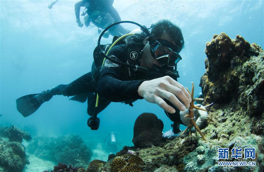 ????? ???? ??? ????? ????? ????????