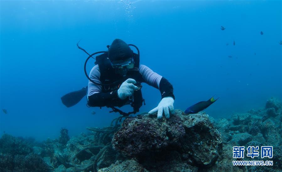 ????? ???? ??? ????? ????? ????????