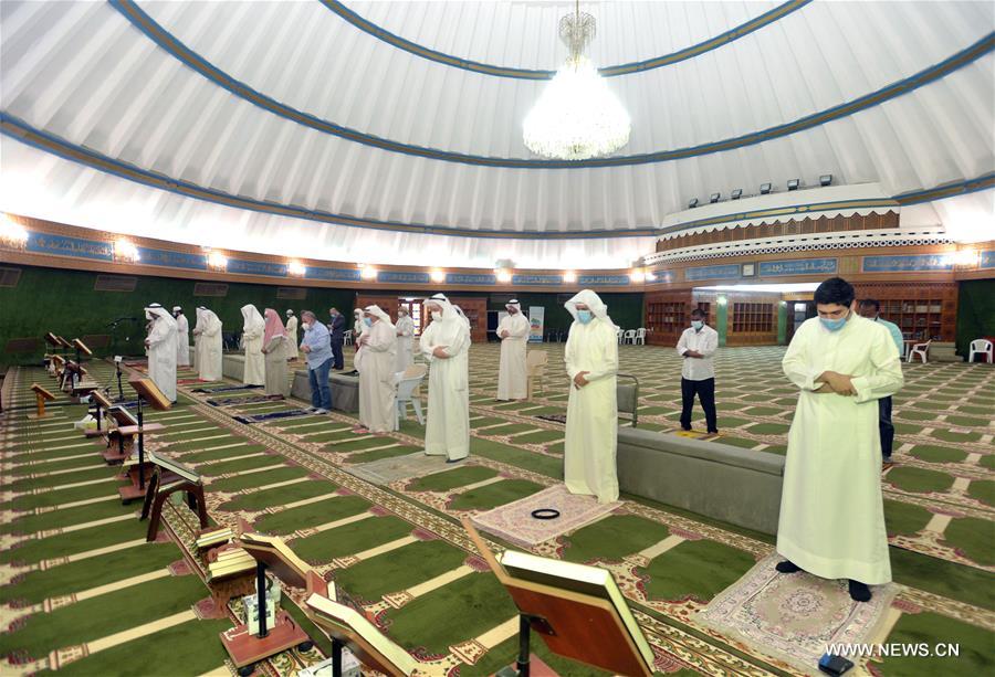 ?????? : ?????? ????? ????? ?????? ??? 33823 ????? ?275 ???? ????