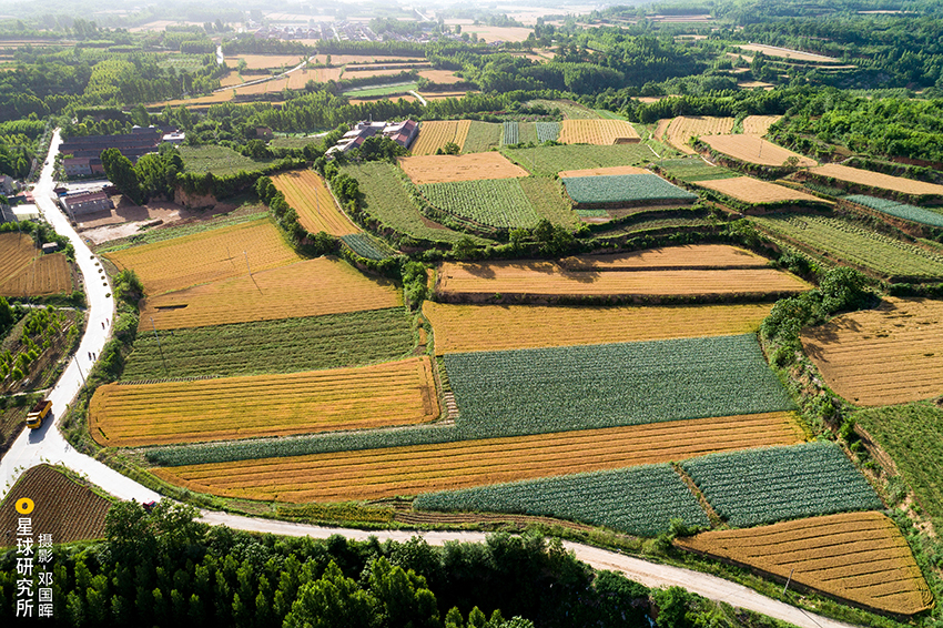 ??????: ??? ???? ???????