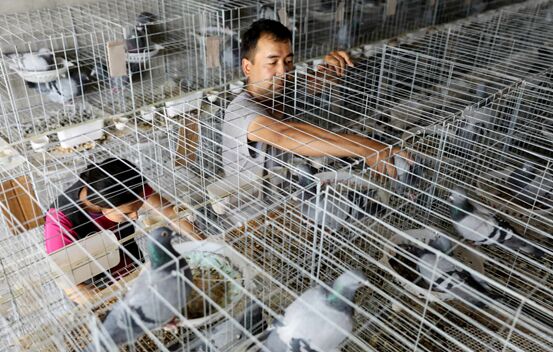 ?????: ?????? ????? ?? ????????