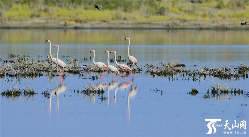 ???? ??? .. ???? ?????? 