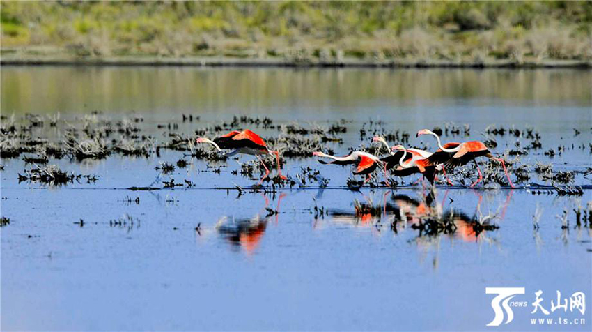 ???? ??? .. ???? ?????? 