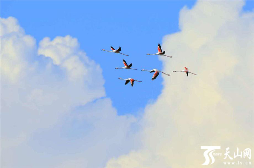 ???? ??? .. ???? ?????? 