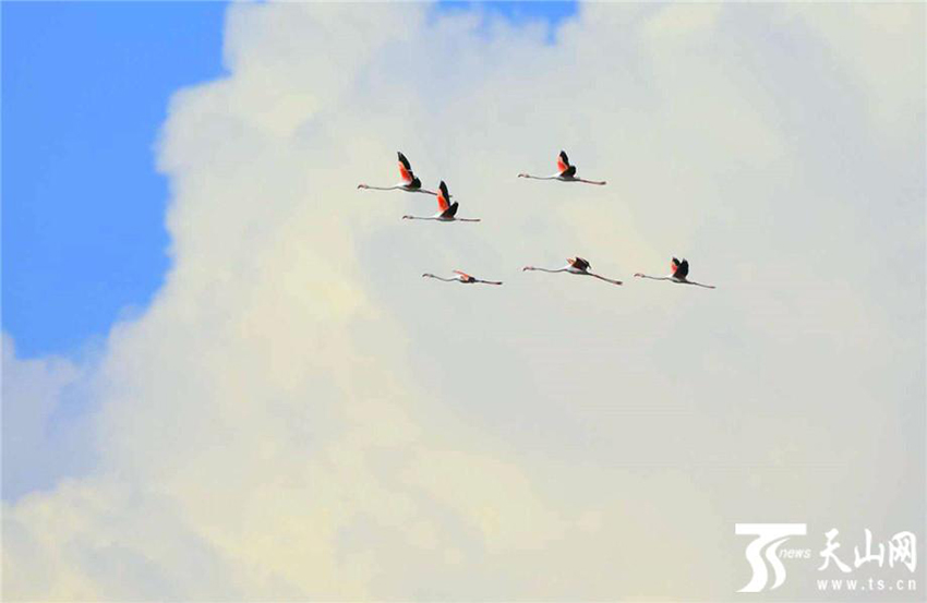 ???? ??? .. ???? ?????? 