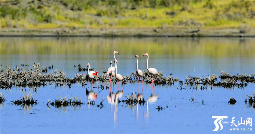 ???? ??? .. ???? ?????? 