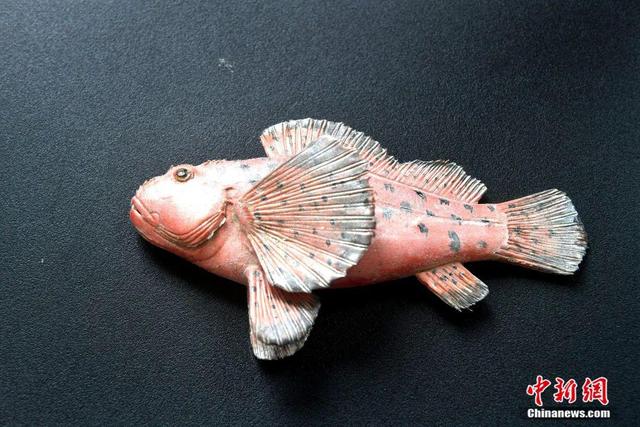 ???? ???? ?????? ??? ??????? ????? ????? ????????