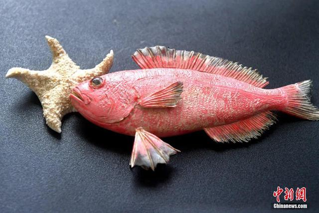 ???? ???? ?????? ??? ??????? ????? ????? ????????