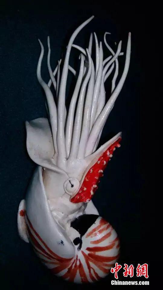 ???? ???? ?????? ??? ??????? ????? ????? ????????