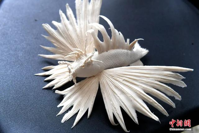 ???? ???? ?????? ??? ??????? ????? ????? ????????