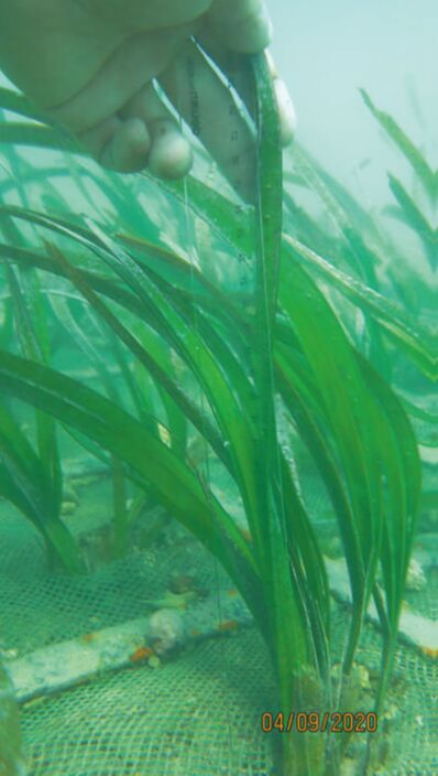 ????? ?? ?????: ????? ???? ?? ????? ??????? ??????? ?? ??? ????? 