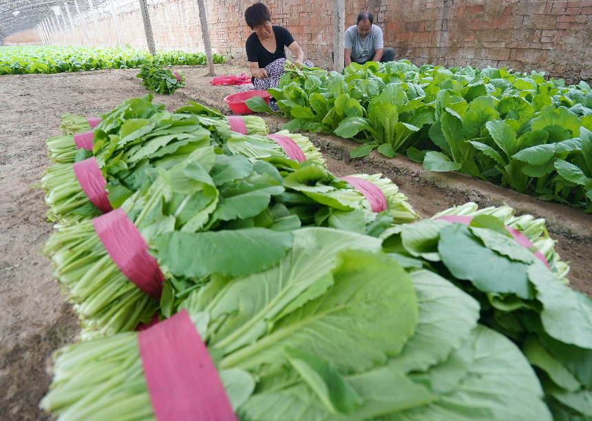  ????? ???? ????????? ?? ????? ????? ???? ???? ????? ?? ?????? ???? ????????