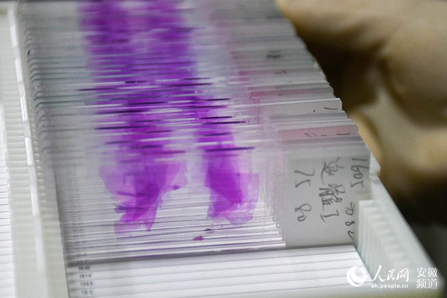 ??? ???? ??? ??????? ??????? ?? ?????