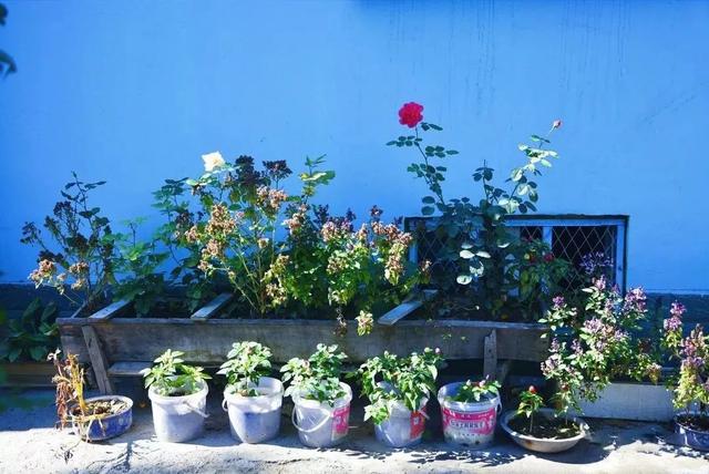 ??? ??? ??? ????? ??????? ????? ?? ????? ??? ?????? ?????????