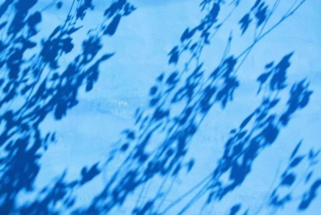 ??? ??? ??? ????? ??????? ????? ?? ????? ??? ?????? ?????????